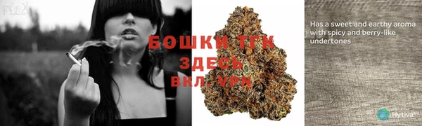 MDMA Каменногорск