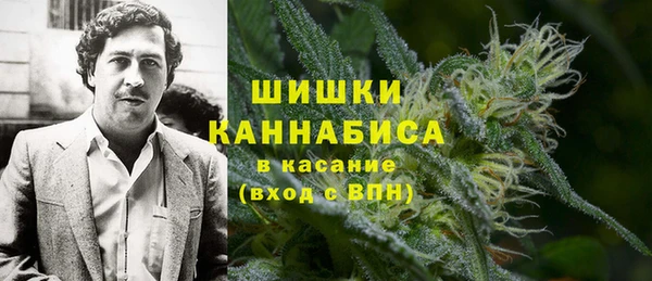 дживик Каменка
