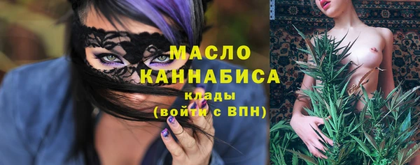 дживик Каменка