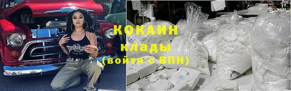 дживик Каменка